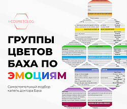 Як підібрати краплі Квіти Баха? Таблиця груп Квітів Баха за емоціями