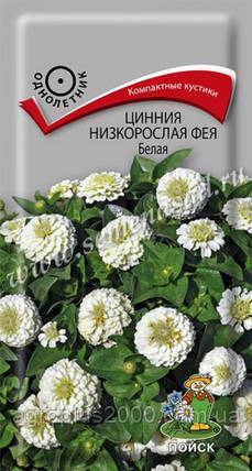Насіння Цинія низькоросле Фея Біле 0,1 грама Пошук, фото 1