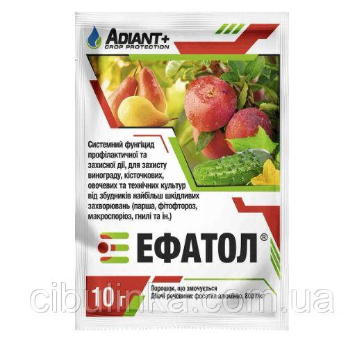 Фунгіцид Ефатол (бактеріальний рак, сонячний опік) 10 г