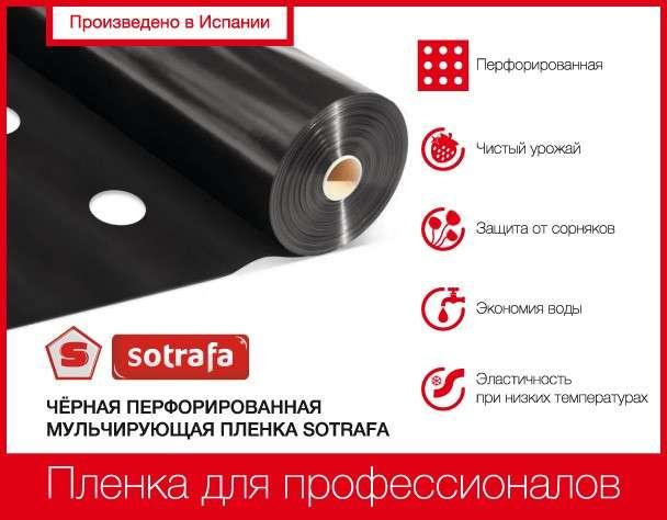 Плівка мульчуюча SOTRAFA чорна (25мкм) перфофорована 30*25см, 1,2*1000м