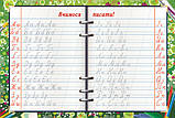 Дошка-тренажер "Вчимося писати українську абетку", картонна, сухого стирання, А3 (серветка і маркер в комплекті), фото 3