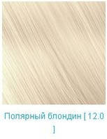 Nouvelle Hair Color 12.0 Полярний блондин 100 мл