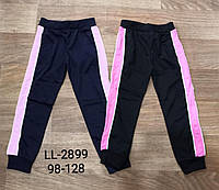 Спортивные штаны для девочек, Sinsare, 98,110 см, № LL-2899