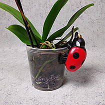 Керамічна фігурка "Сонечко"