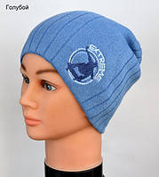 Детская шапка Arctic ОГ 48-53 см демисезонная для мальчика двойная х/б голубой