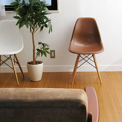 Стілець обідній пластиковий Тауер Вуд СДМ-Груп ніжки бук коричневий