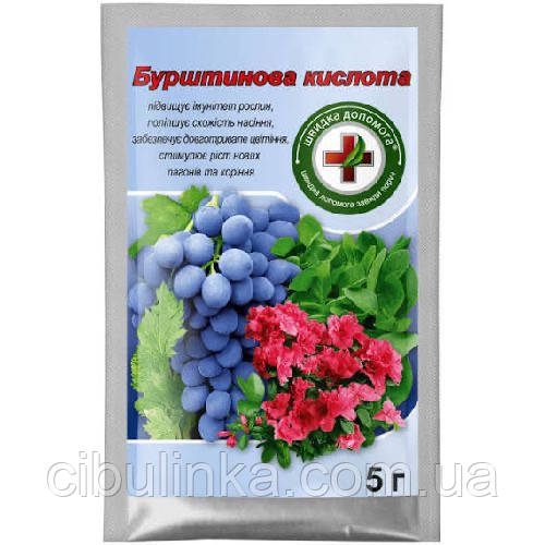 Украина. Стимулятор росту Бурштинова кислота (бурштинова кислота), 5 г, фото 1