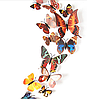 3D метелики наклейки з магнітами і з наклейкою на стіну коричнево-різнокольорові 12штук набір, фото 2