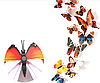 3D метелики наклейки з магнітами і з наклейкою на стіну коричнево-різнокольорові 12штук набір, фото 5