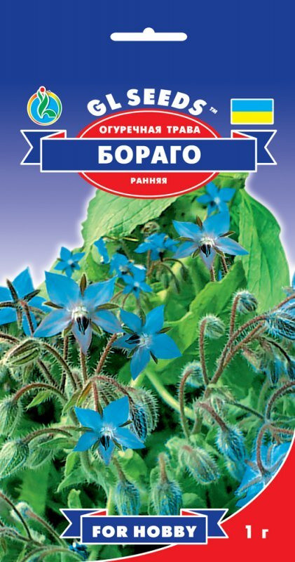 Насіння Огіркової трави Бораго (1г), For Hobby, TM GL Seeds