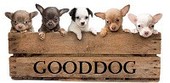 GoodDog