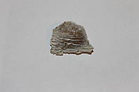 Раух-топаз камень 32*29*9 мм. натуральный дымчатый кварц