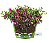 Вазон santino 18 л білий, фото 3