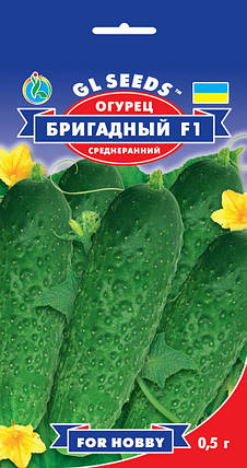 Насіння огірка Бригадний 0,5 г, GL SEEDS, фото 2