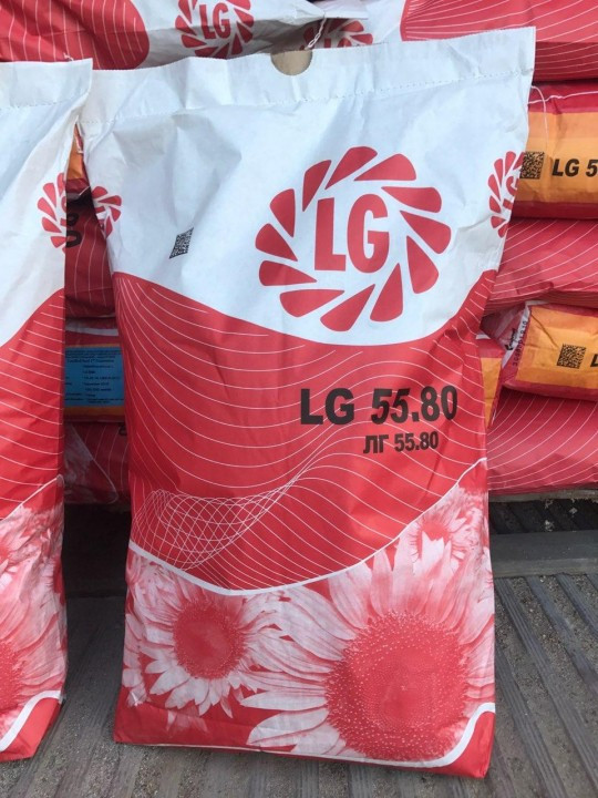 ЛГ 5580 Лімагрейн насіння соняшника