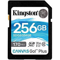 Карта памяти для фотоаппарата 256Gb Kingston Canvas Go Plus 256Gb class 10