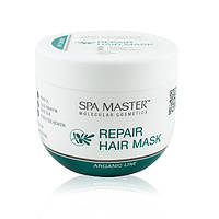 Восстанавливающая маска для волос с аргановым маслом Spa Master