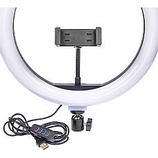 Кільцева LED лампа F-260A з тримачем для телефону 10" 26см, фото 2