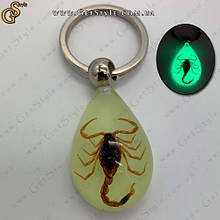 Браслет Скорпіоном - "Scorpion Bracelet" світитися у темряві