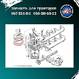 Прокладка клапанної кришки Д-21, Д-144 Д37М-1007419, фото 2