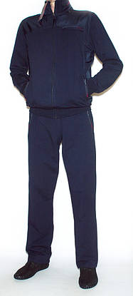 Чоловічий спортивний костюм без каптура Mxtim/Avic 5030 (L,XL,XXL,3XL), фото 2