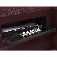 Настінний біокамін Spartherm Quadra Elipse Wall