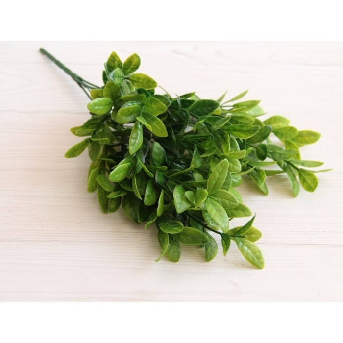 Зелень "Лавр" зелений глянсовий