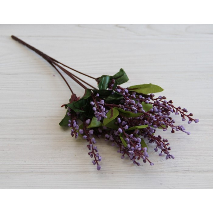 Зелень "Весняна" фіолетова