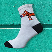 Високі шкарпетки з принтом котопес 40-44