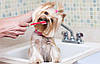 Косметика,засоби гігієни та догляду для собак