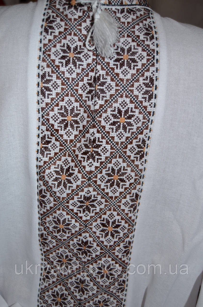 Чоловіча вишита сорочка "Рідна земля"