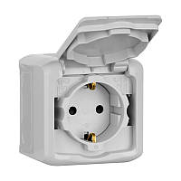 Розетка із заземленням і кришкою Legrand Forix IP44 сірий (782393)