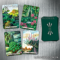 Гадальные карты Оракул растений Друидов (Druid Plant Oracle)