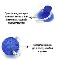 Игрушка для собак и кошек канат на присоске с мячом, отличный товар