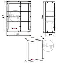 Тумба навісна МГ-1 -1 1015х800х300мм Компаніт, фото 2