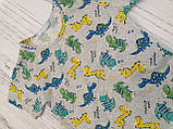 Комплект футболки з шортами динозаврами для хлопчика Смайл Тайм Dino SmileTime, фото 2