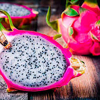 Питахайя розовая (рассада), Dragon Fruit