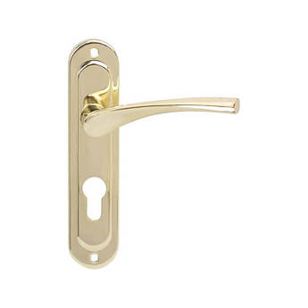 Дверна ручка на планці Bruno BR-55 PZ 55мм Латунь полірована