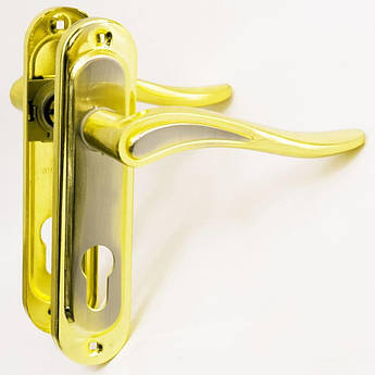 Дверна ручка на планці Bruno Etro PZ 62мм Латунь полірована / Нікель матовий