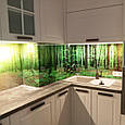Скіналі фартух для кухні із загартованого скла Ліс, фото 2