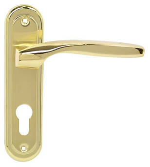 Дверна ручка на планці RDA Arona PZ 62мм Латунь полірована / Латунь матова