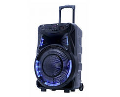 Портативна колонка GT-6021 з підсвіткою та мікрофоном