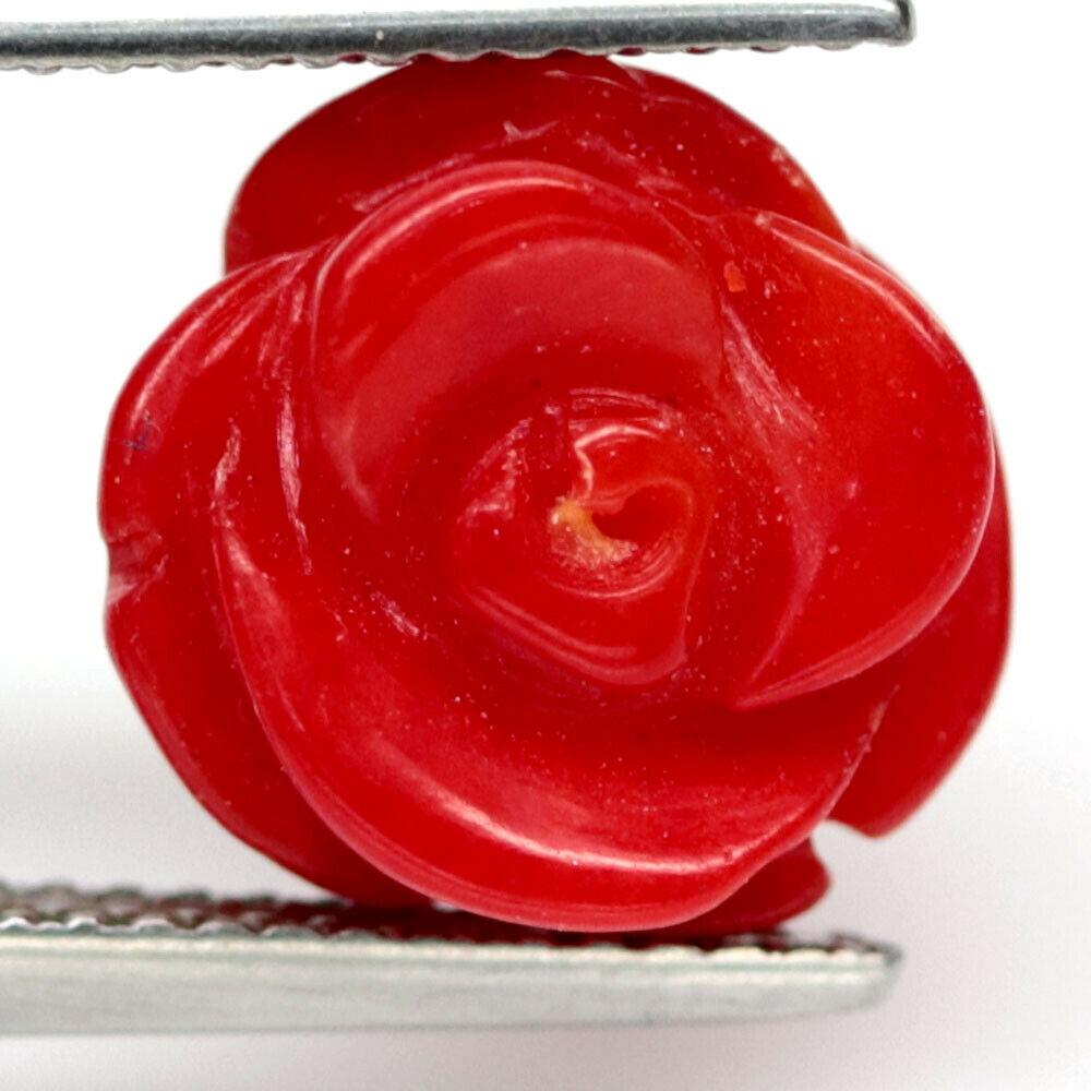 6.67 кт. лаб. корал гумовий