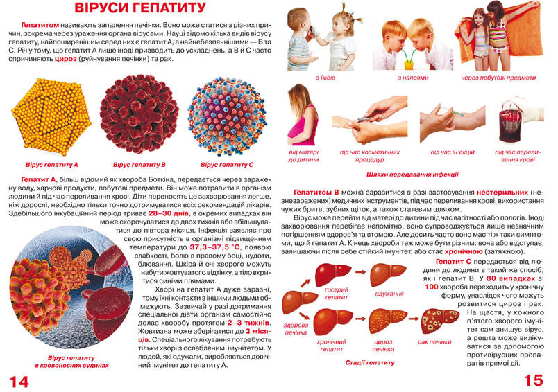 Енциклопедія для допитливих "Світ навколо нас. Велика книжка. Віруси" | Кристал Бук, фото 3