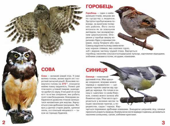 Енциклопедія Велика книжка. Птахи. Світ навколо нас, фото 3