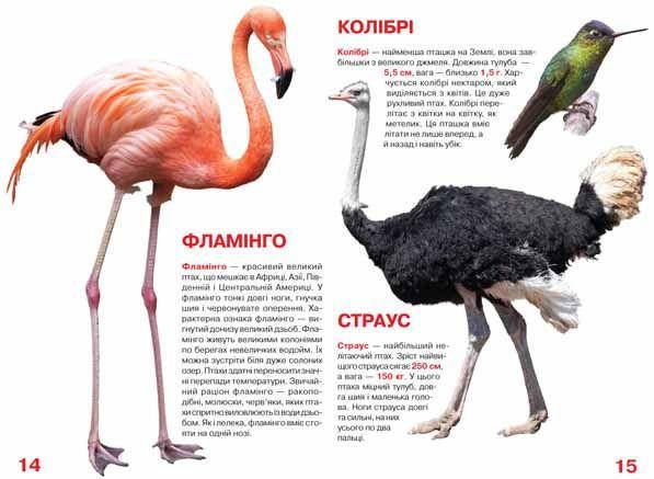 Енциклопедія Велика книжка. Птахи. Світ навколо нас, фото 4