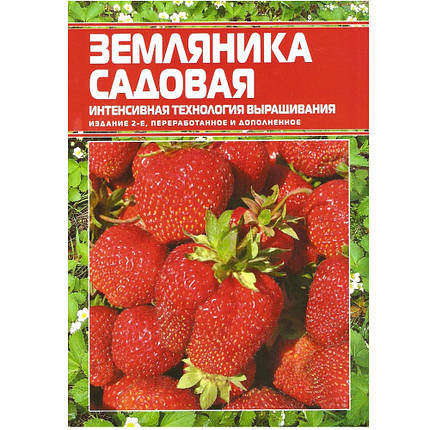 Суниця садова. Інтенсивна технологія вирощування, фото 2