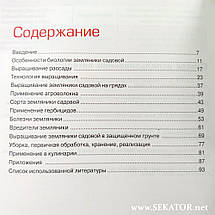 Суниця садова. Інтенсивна технологія вирощування, фото 3