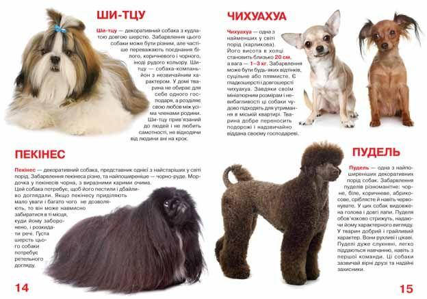 Енциклопедія для допитливих "Світ навколо нас. Велика книжка. Собаки" | Кристал Бук, фото 2