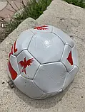 Футбольний м'яч Brasil Виробництво Lidl Germani, фото 4